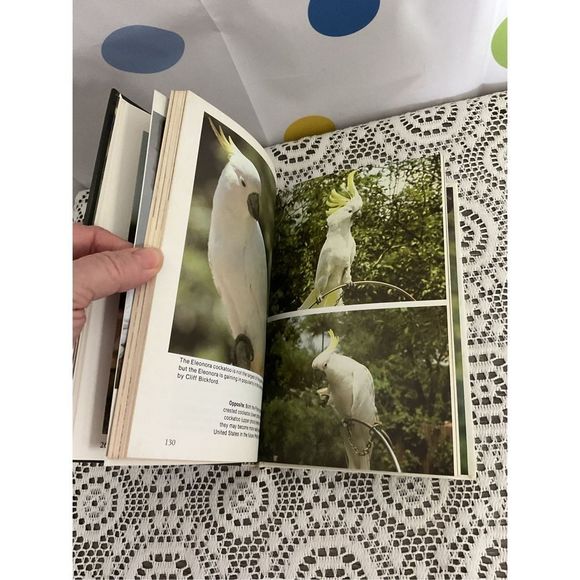 1981 Handbook of Cockatoos By Dr. A.E. Decoteau ❤️🍒 - Picture 9 of 13